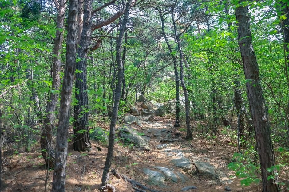 [서울둘레길 12코스] 호암산코스