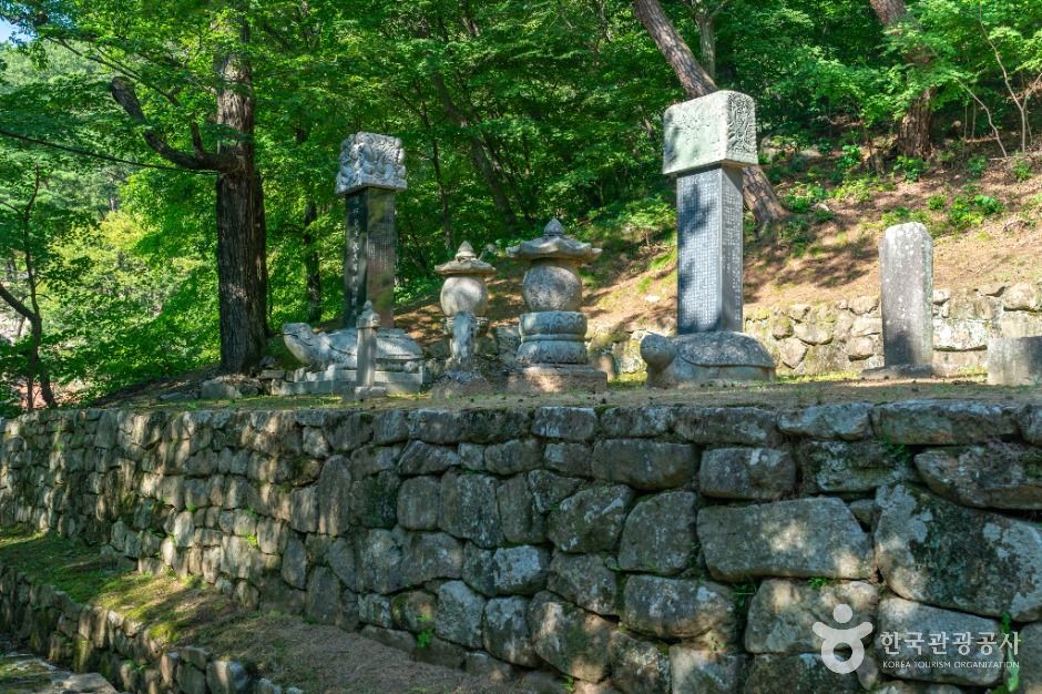 회진당원의대사지비