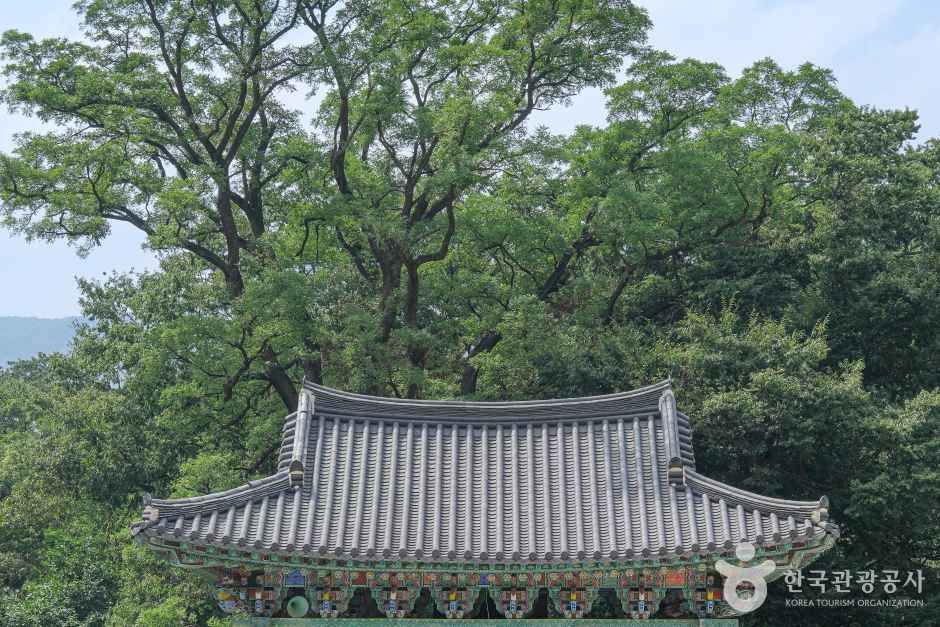 표충사(밀양)
