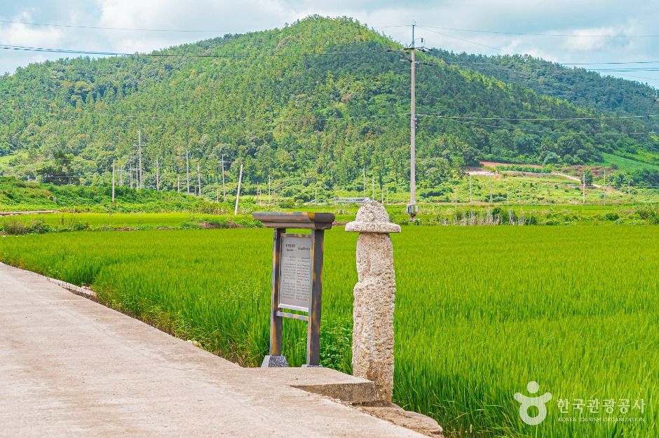 무안발산마을미륵당산