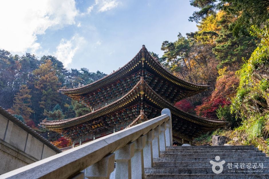 thumbnail-구인사(단양)-11
