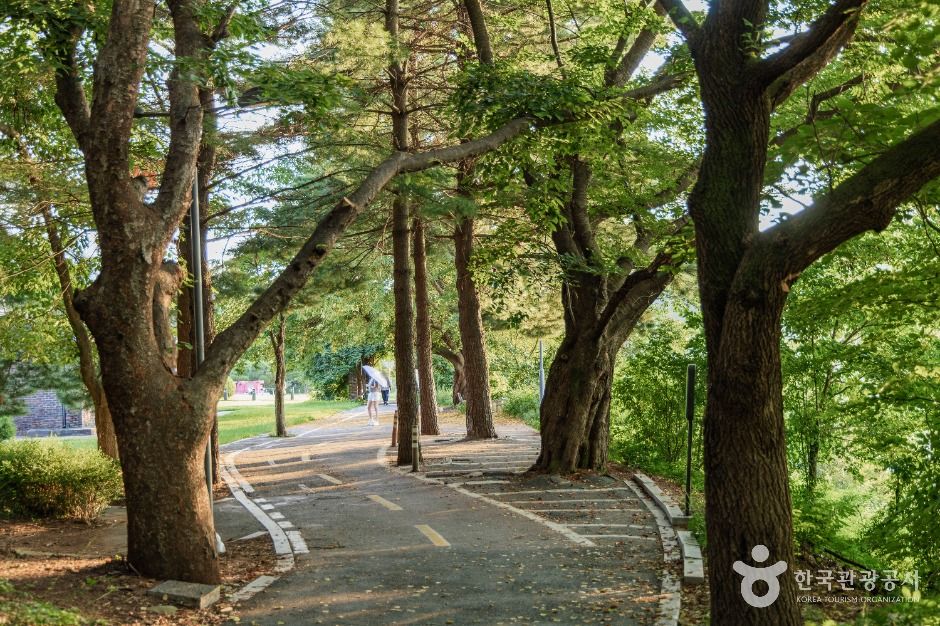 춘천시 수변공원
