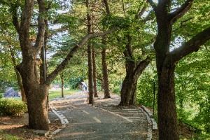 춘천_춘천시 수변공원 (7)