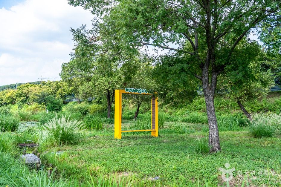 탄천민물고기습지생태원