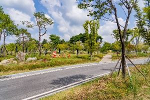 임실_오수의견 관광지 (6)