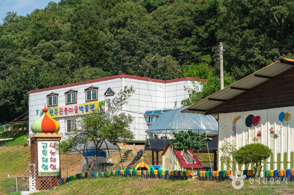 원주_원주곤충마을박물관 (4)