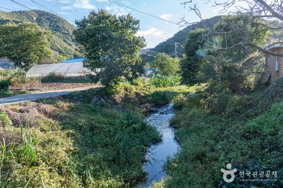 은골구기자마을