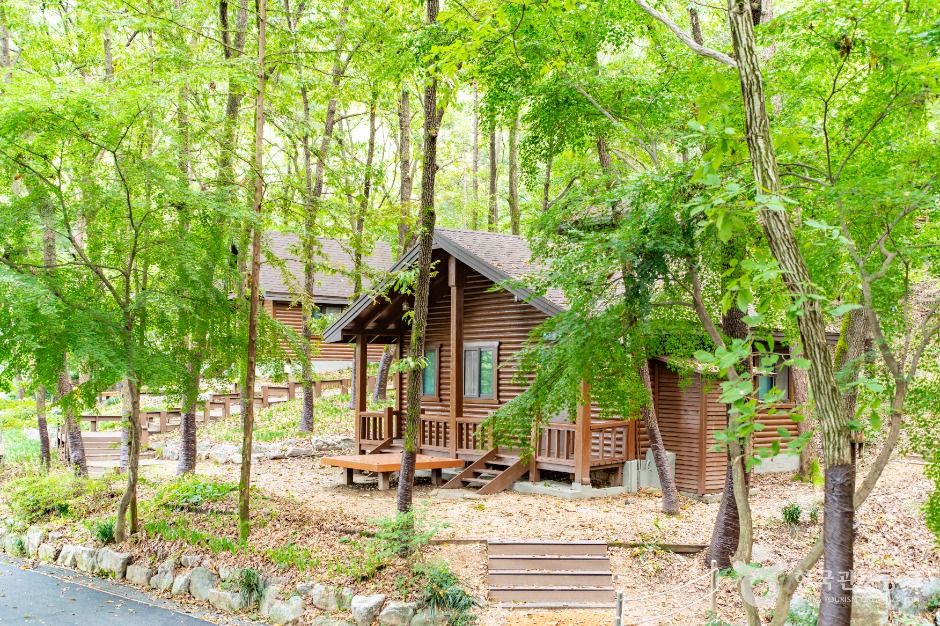아산 영인산자연휴양림
