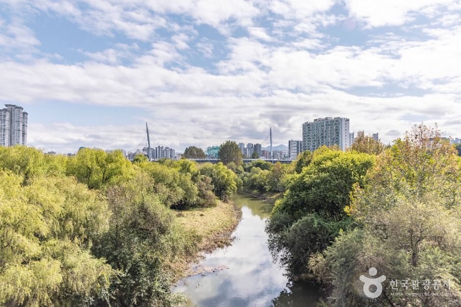 thumbnail-여의도샛강생태공원-1