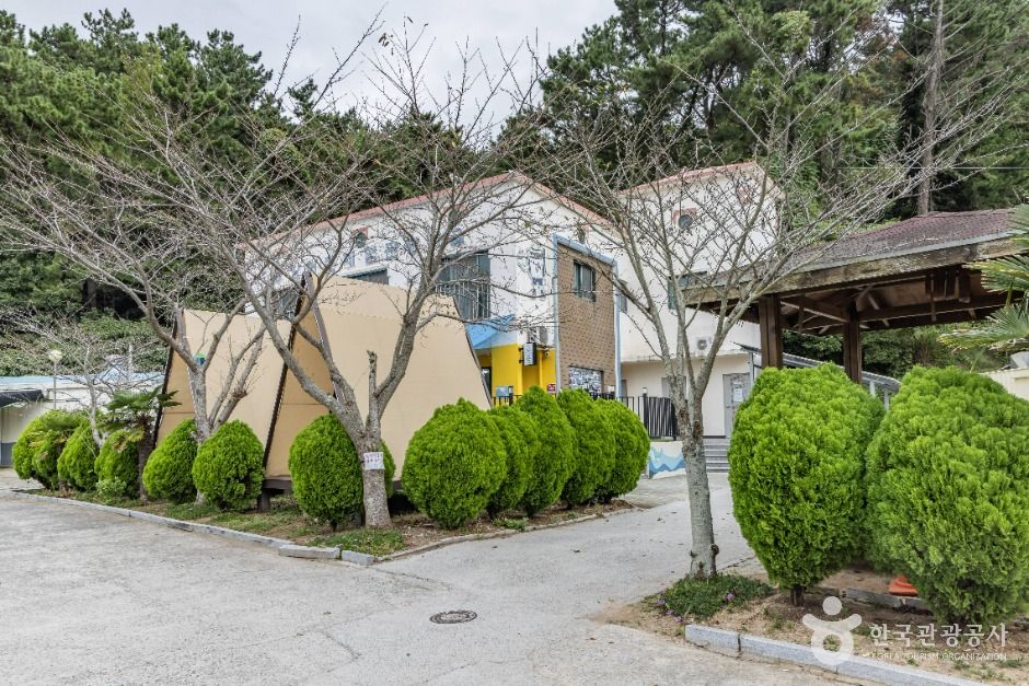 thumbnail-궁항어촌체험마을-5