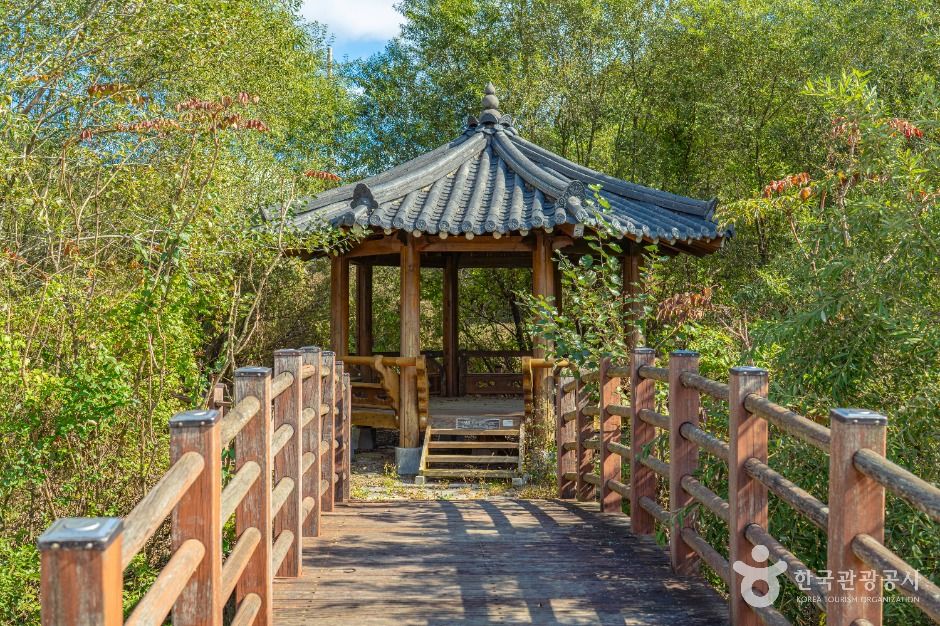 잘산대대박마을