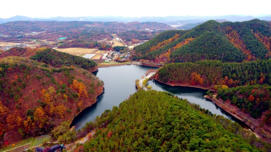 국립속리산말티재자연휴양림