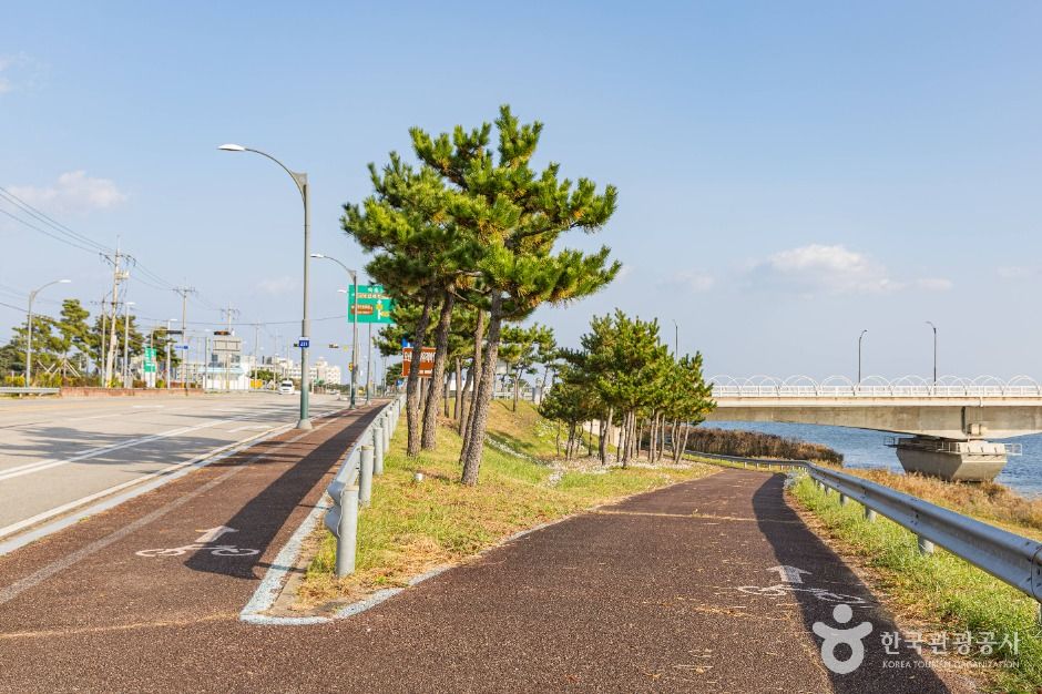 양양_연어 자전거길 (3)