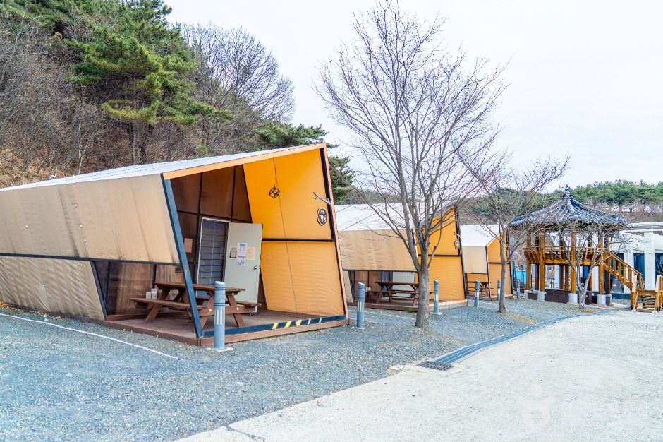 영천_영천 별빛마을 (7)