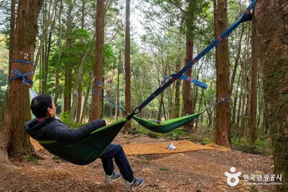 thumbnail-서귀포 치유의 숲-15