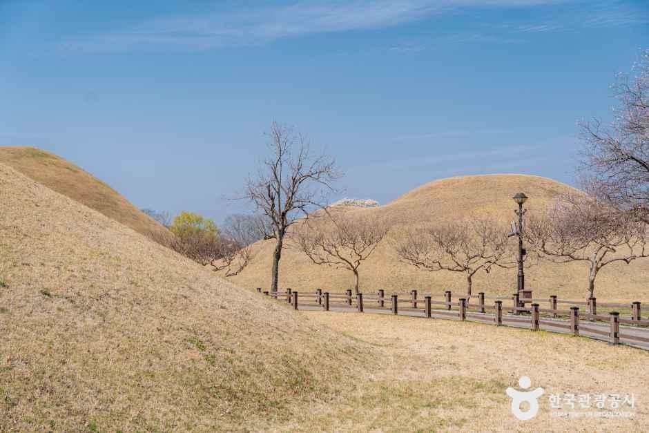 thumbnail-경주 대릉원 일원-16