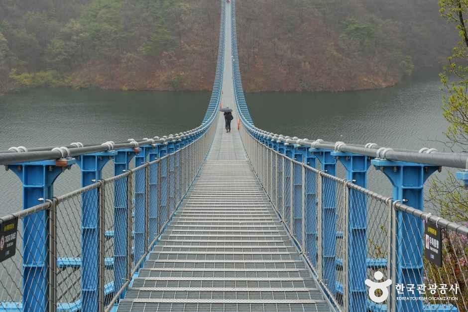 thumbnail-초평호 미르309 출렁다리-7