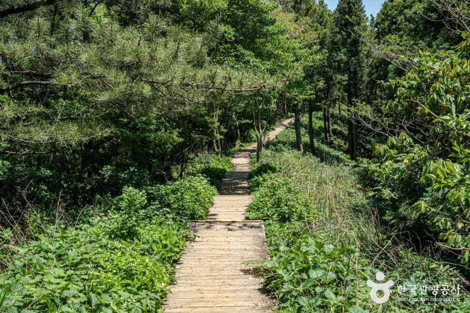 thumbnail-거문오름-1