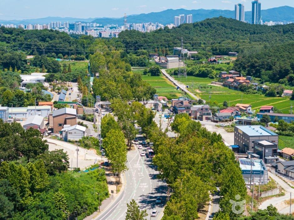 thumbnail-청주 가로수길-9