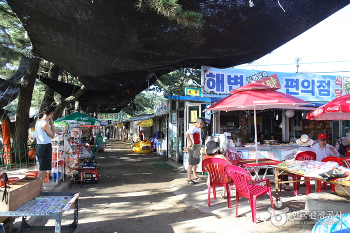Byeonsan Beach (변산비키니해수욕장)