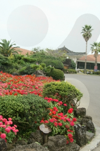 Jeju Folk Village Museum (제주민속촌박물관)