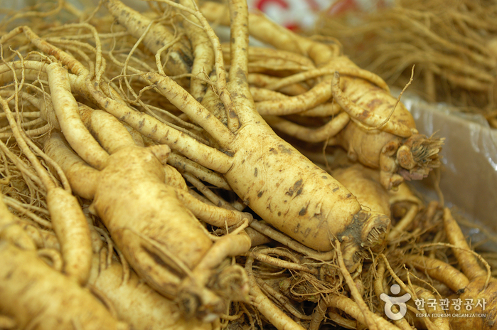 Centro de Ginseng de Ganghwa (강화 인삼센터)1