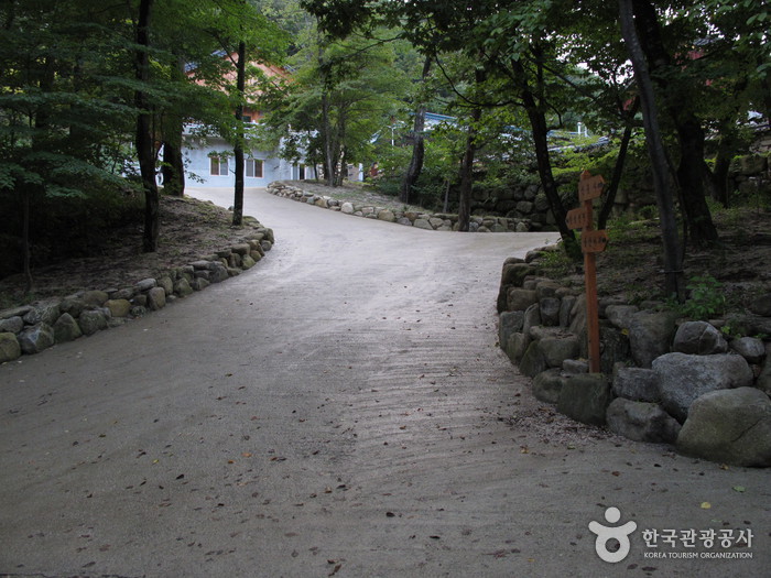 Sinheungsa Temple (Seoraksan) (신흥사(설악산)