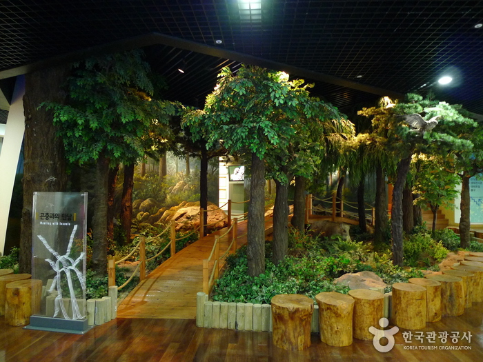 Bandi Land (무주 반디랜드)