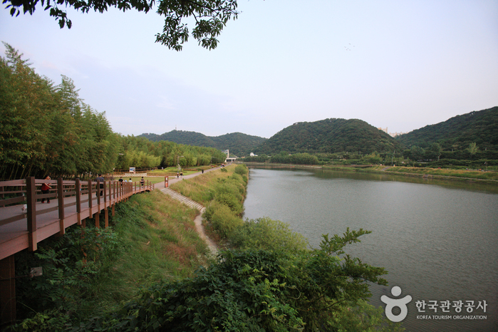Taehwagang Grand Park (태화강 대공원)