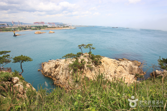 Daewangam Park (대왕암공원)