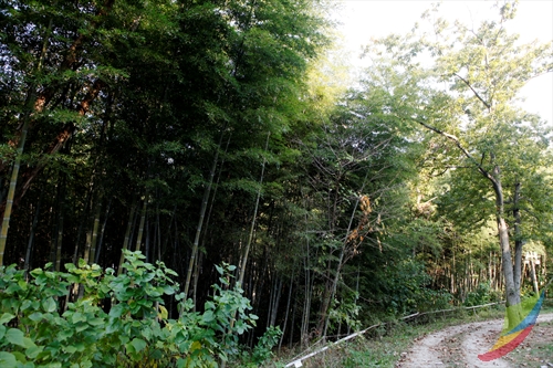 Borinara Hagwon Farm (보리나라 학원농장)