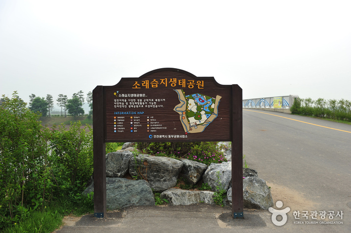 Sorae Ecology Park (소래습지생태공원)