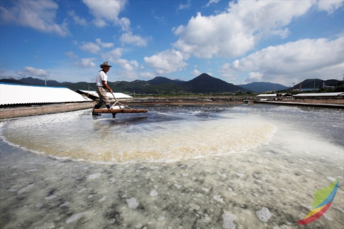 Gomso Salt Field (곰소염전)