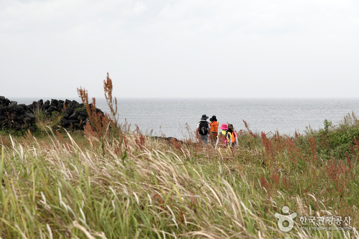 [제주올레 20코스] 김녕-하도 올레2