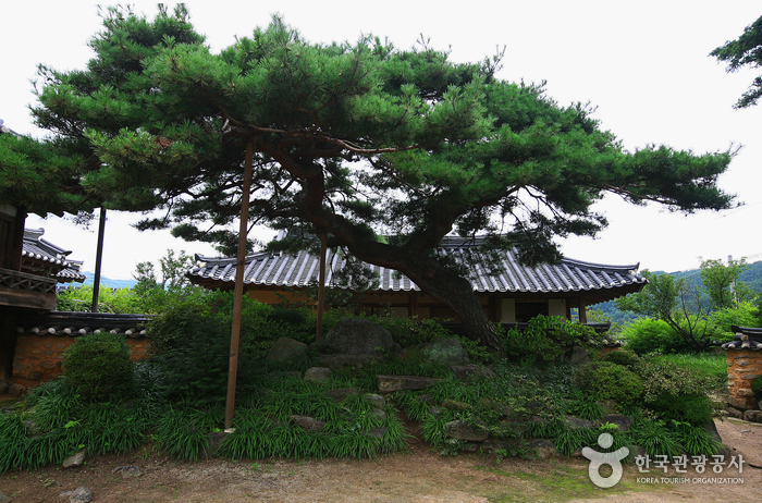 Gaepyeong Hanok Village (개평한옥마을)