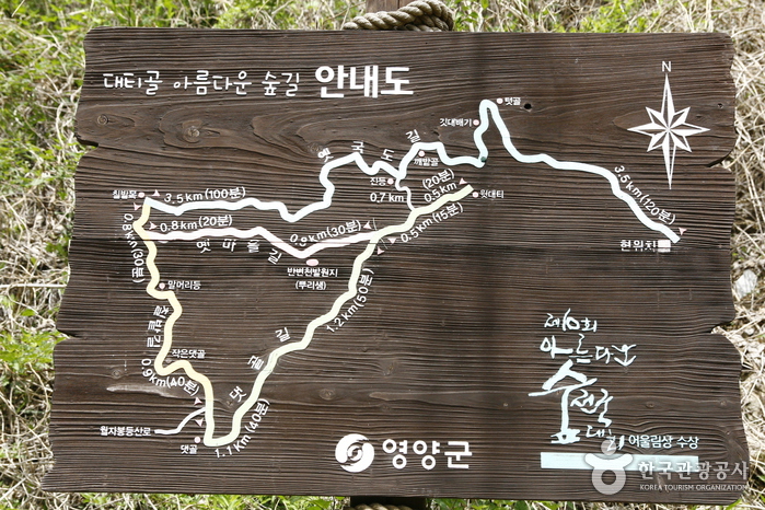 아름다운 도시락 이미지