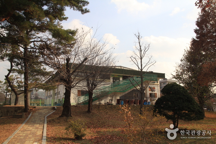 어린이회관 수영장(실외)2