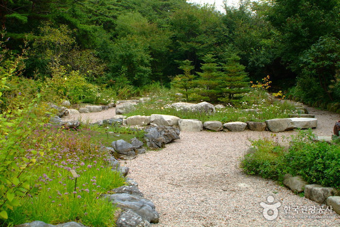 Botanischer Garten für Koreanische Pflanzen (한국자생식물원)