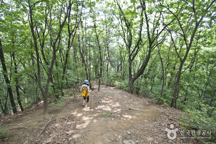 모락산 정상 국기봉 가는 길