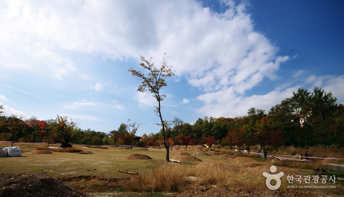 서서울호수공원 사진2
