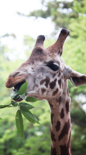 부산 삼정 더파크2