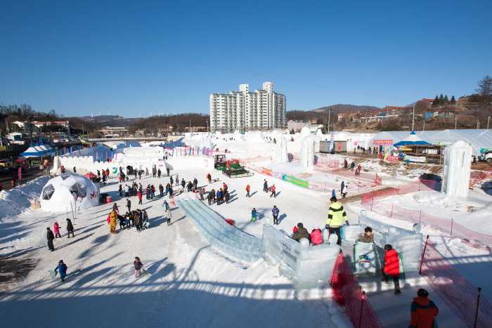 대관령 눈꽃축제 2017 사진4