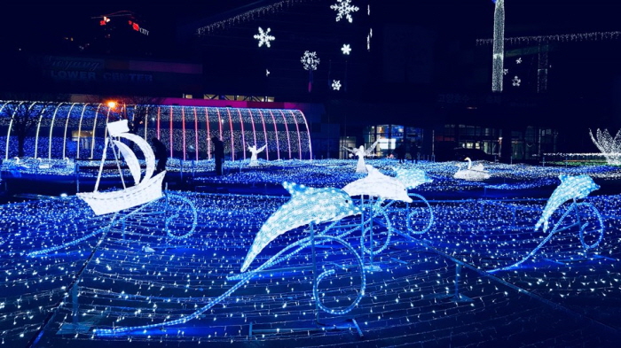 고양호수꽃빛축제 (Goyang Light Blooming Festival) 2017 사진3