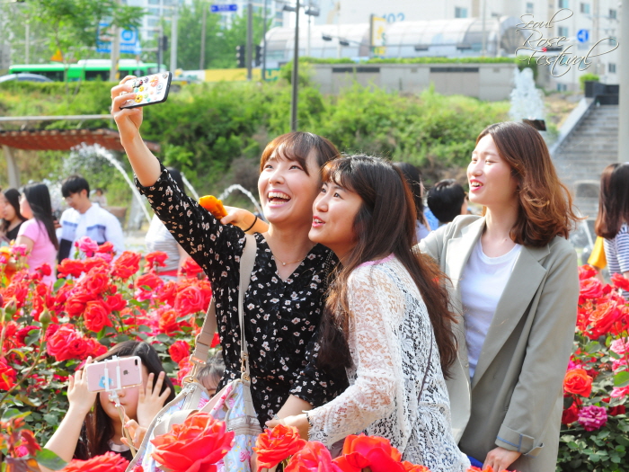 서울장미축제 2018 사진6