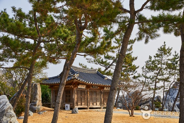 삼양라운드힐 (구, 대관령 삼양목장)0