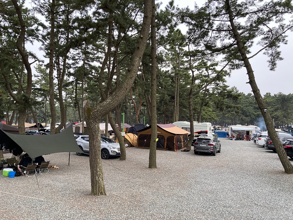 솔비치 캠핑장