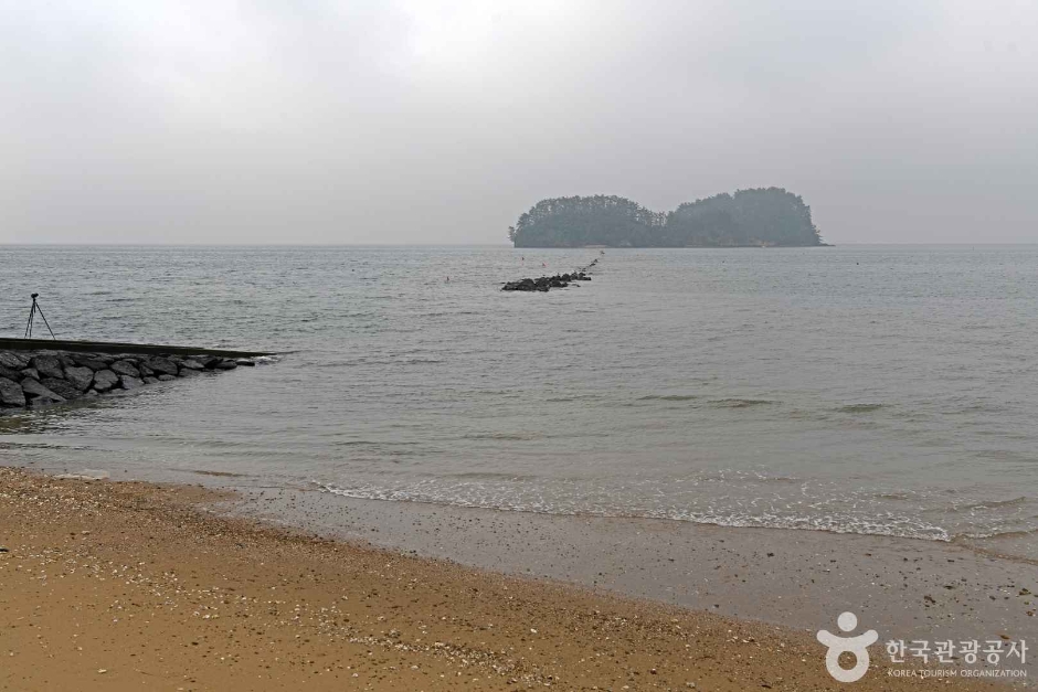 비인 선도리 쌍도해안