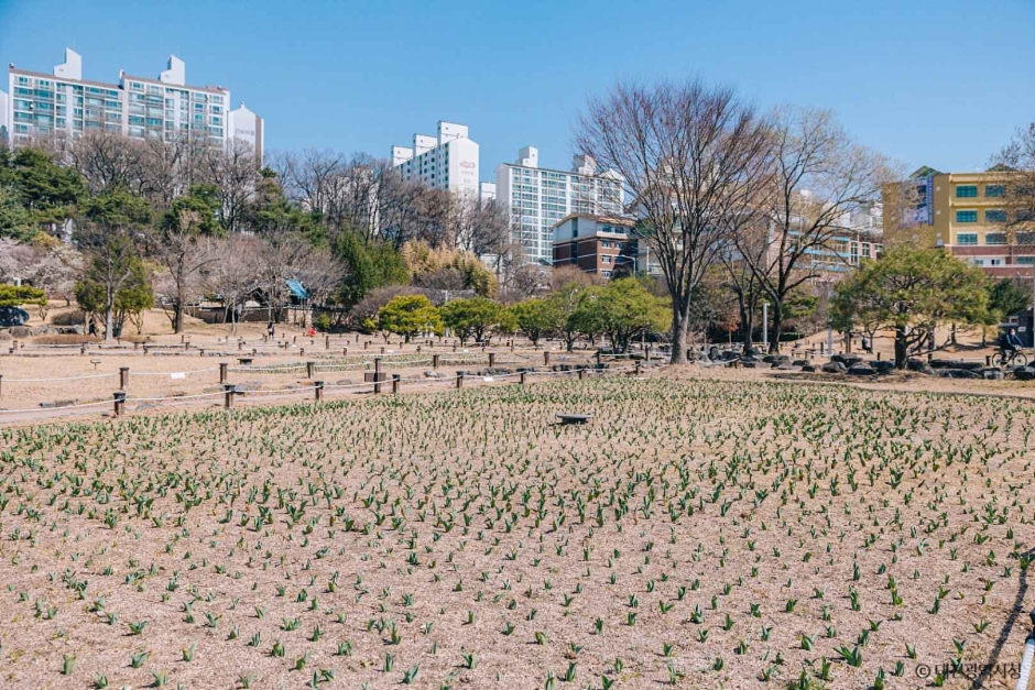 대전 회덕 동춘당