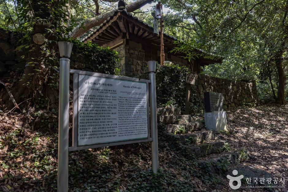 금산공원(납읍난대림지대)