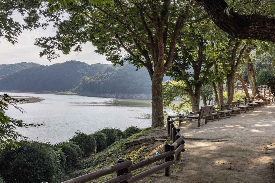 도산서원 (5)